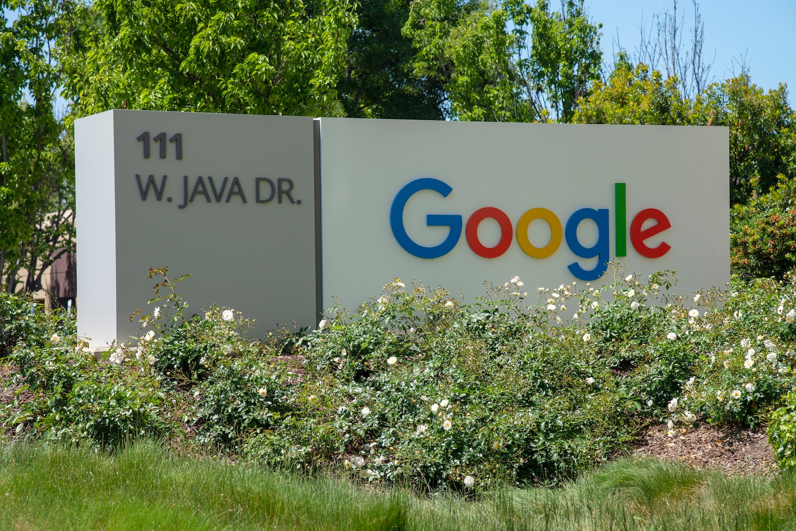 5 Ways Competitive Strategy Tools Can Help Improve Your SEO